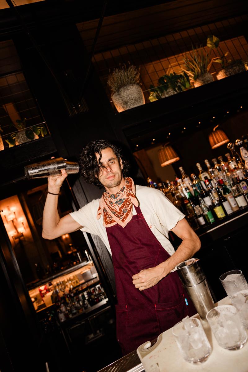 The bartender shaking a cocktail